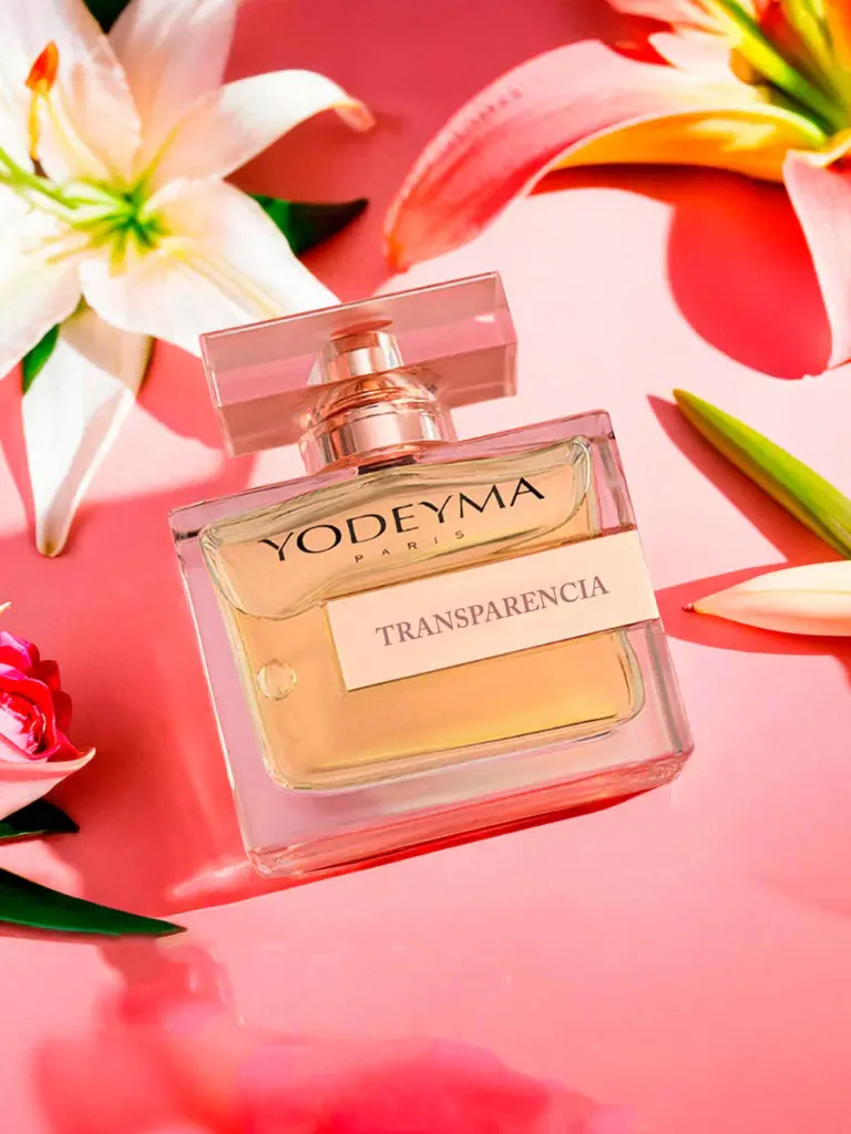 YODEYMA TRANSPARENCIA